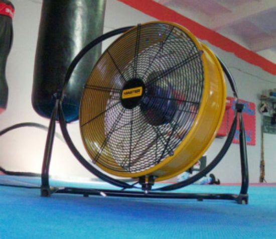 Picture of DF 20 – professional fan